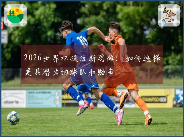 2026世界杯投注新思路：如何选择更具潜力的球队和赔率