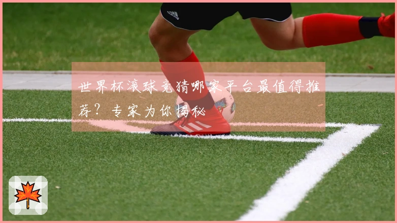 世界杯滚球竞猜哪家平台最值得推荐？专家为你揭秘