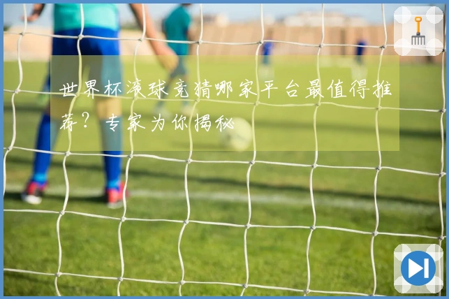 世界杯滚球竞猜哪家平台最值得推荐？专家为你揭秘