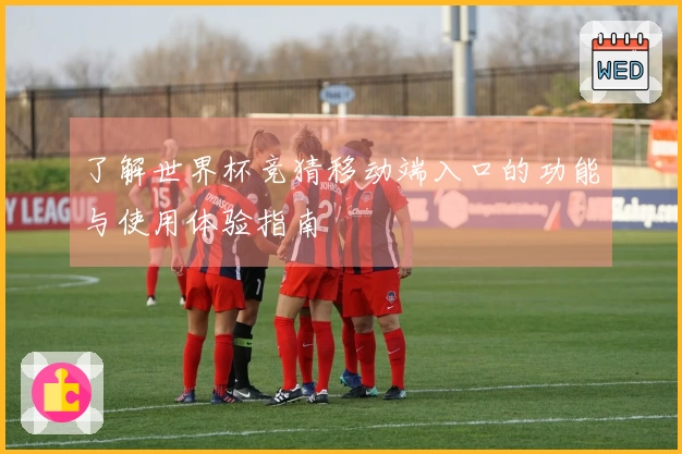 了解世界杯竞猜移动端入口的功能与使用体验指南