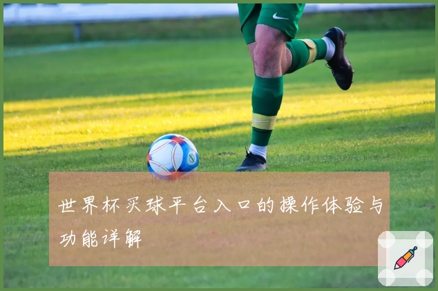 世界杯买球平台入口的操作体验与功能详解