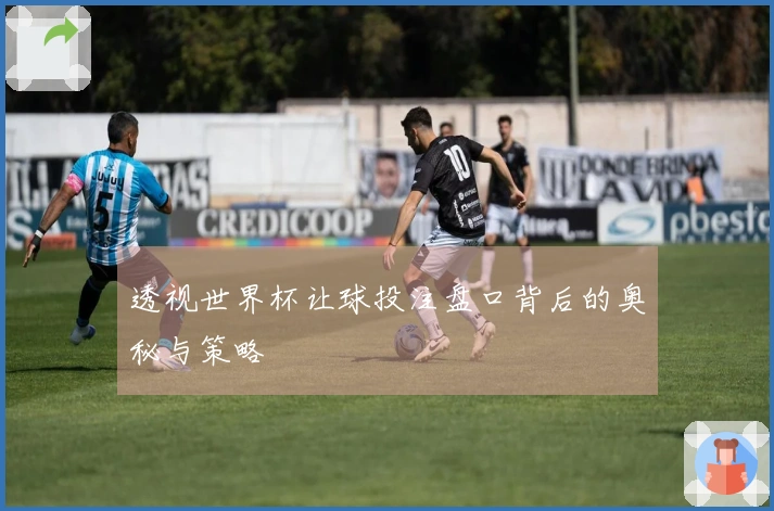 透视世界杯让球投注盘口背后的奥秘与策略
