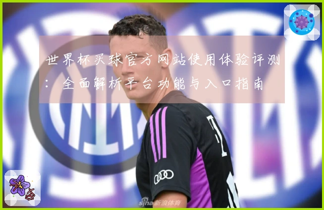 世界杯买球官方网站使用体验评测：全面解析平台功能与入口指南
