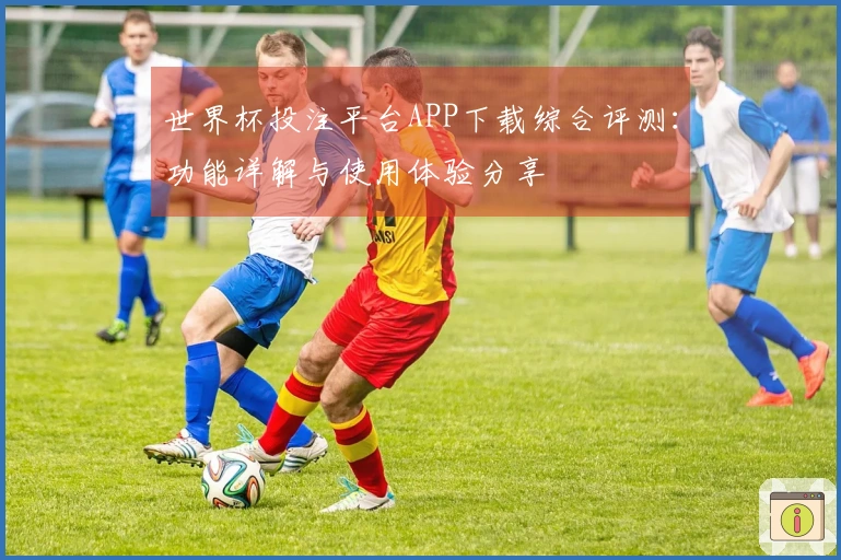 世界杯投注平台APP下载综合评测：功能详解与使用体验分享