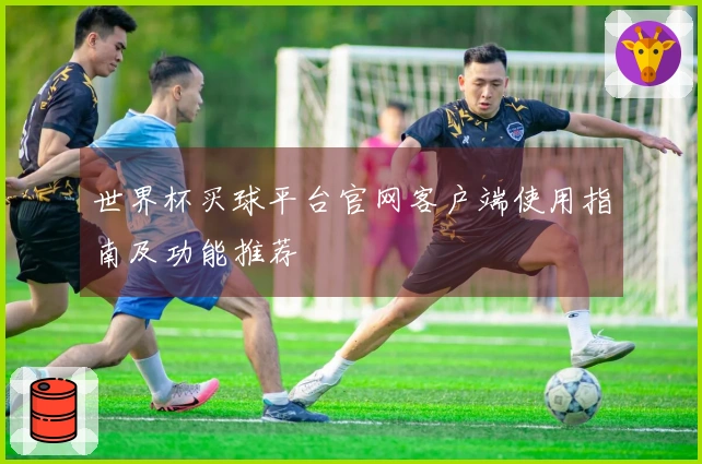 世界杯买球平台官网客户端使用指南及功能推荐