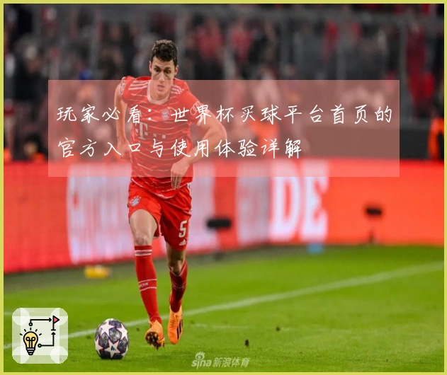 玩家必看：世界杯买球平台首页的官方入口与使用体验详解