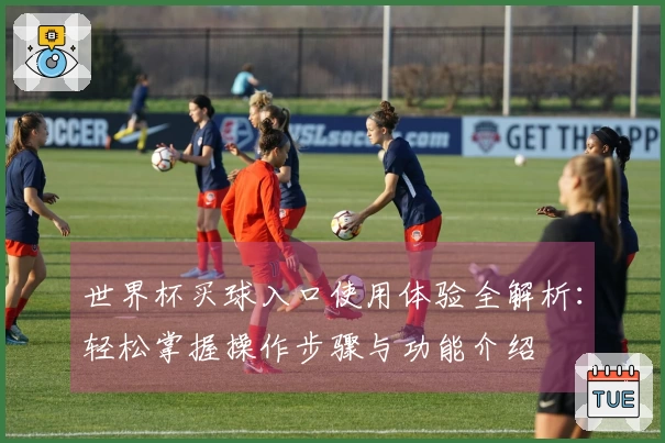 世界杯买球入口使用体验全解析：轻松掌握操作步骤与功能介绍