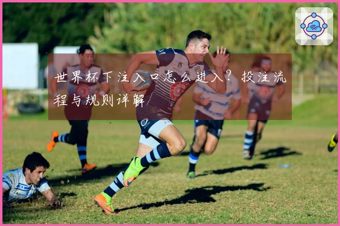 世界杯下注入口怎么进入？投注流程与规则详解