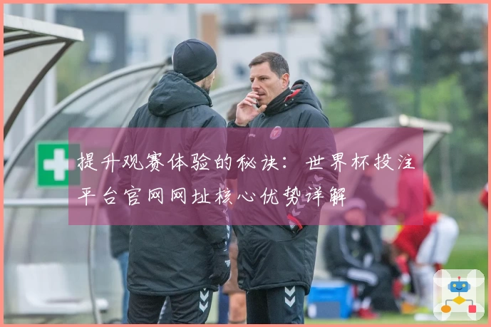 提升观赛体验的秘诀：世界杯投注平台官网网址核心优势详解