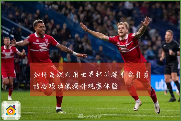 如何高效利用世界杯买球平台首页的各项功能提升观赛体验