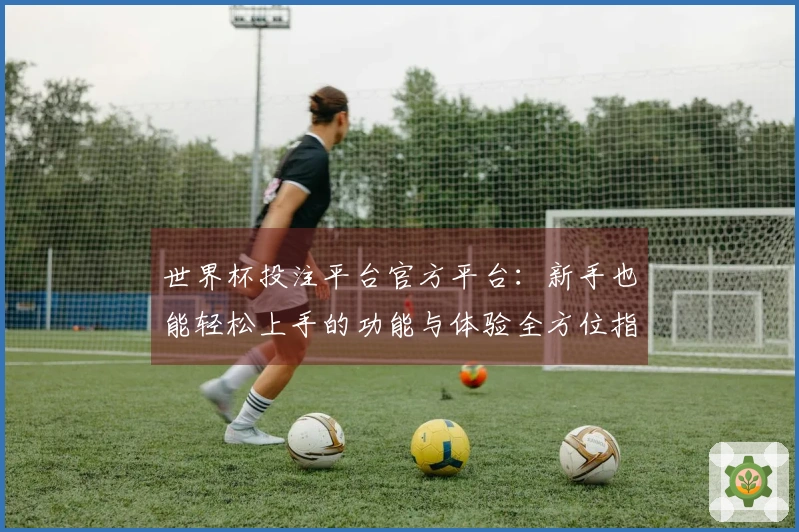 世界杯投注平台官方平台：新手也能轻松上手的功能与体验全方位指南