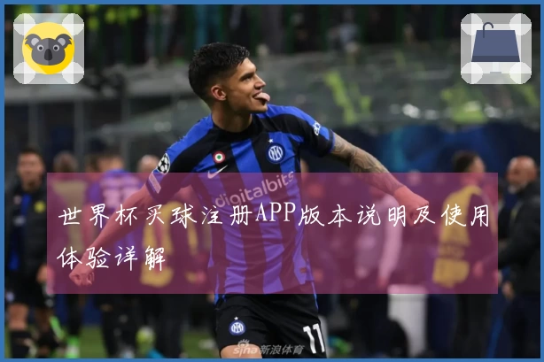 世界杯买球注册APP版本说明及使用体验详解
