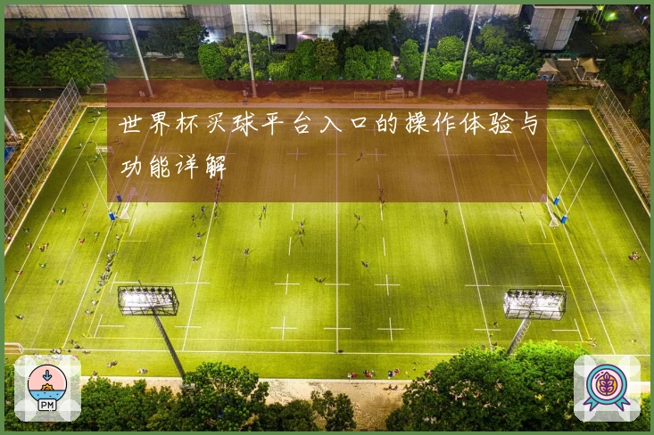 世界杯买球平台入口的操作体验与功能详解