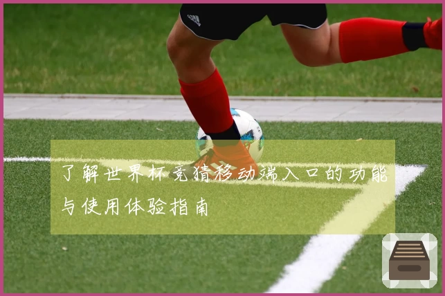 了解世界杯竞猜移动端入口的功能与使用体验指南