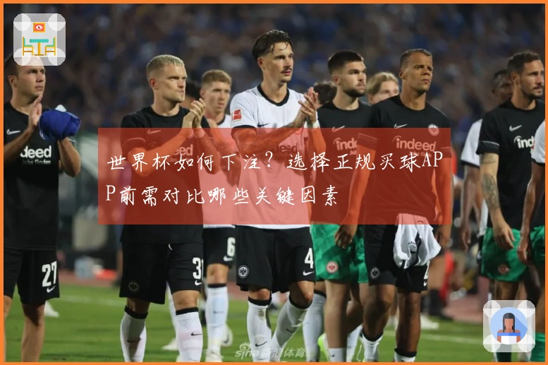 世界杯如何下注？选择正规买球APP前需对比哪些关键因素