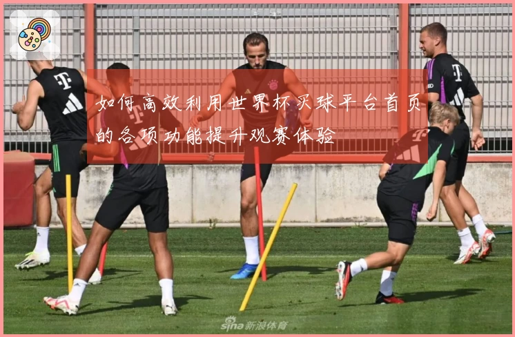 如何高效利用世界杯买球平台首页的各项功能提升观赛体验