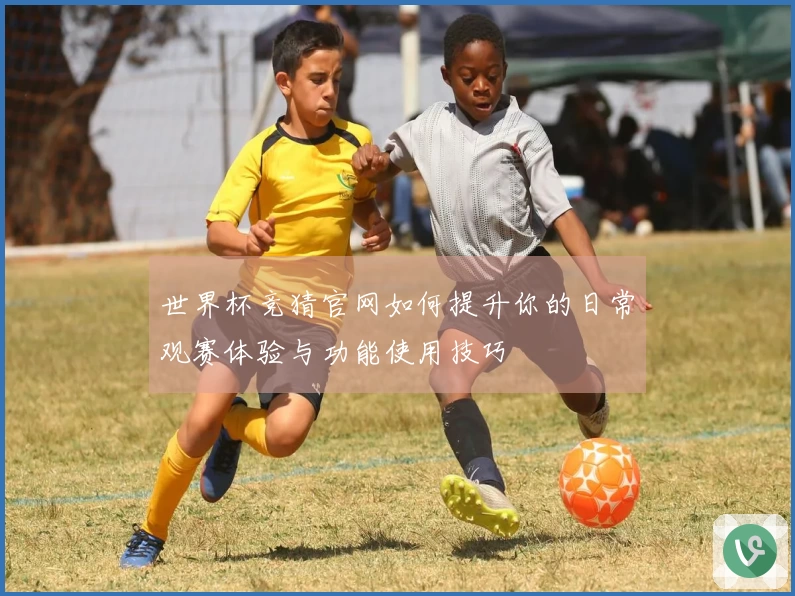 世界杯竞猜官网如何提升你的日常观赛体验与功能使用技巧