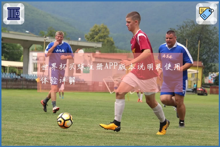 世界杯买球注册APP版本说明及使用体验详解